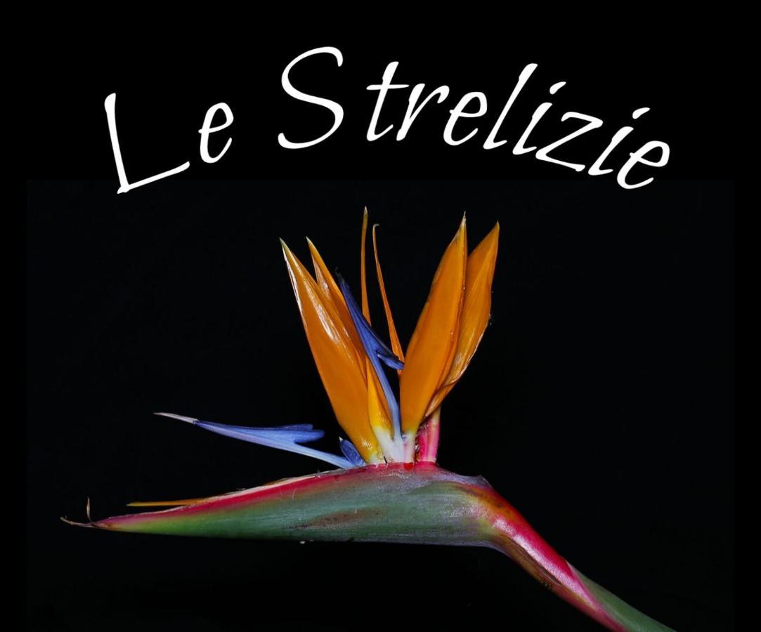Le Strelizie Apartment Arnesano Exterior photo
